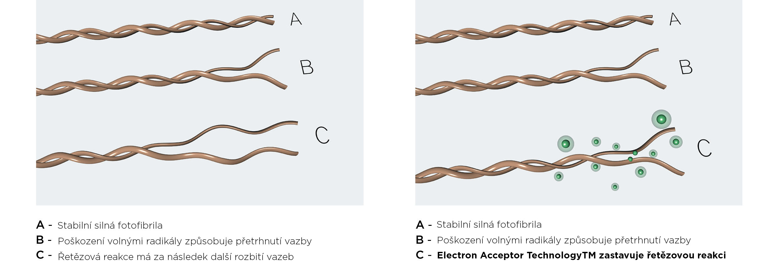 electron acceptor technology andopa cz